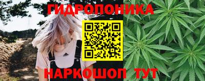 прущая мука Шебекино