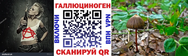 Галлюциногенные грибы Cubensis  Нефтеюганск 