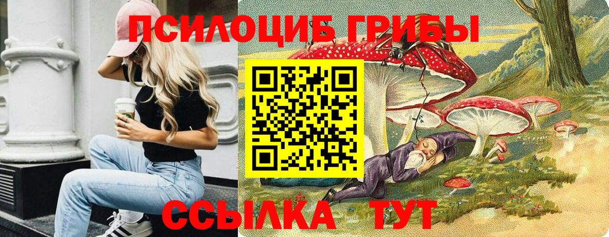 Псилоцибиновые грибы MAGIC MUSHROOMS  Псилоцибиновые грибы MAGIC MUSHROOMS  Вход с VPN  Нефтеюганск 